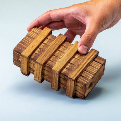 Ditverzinjeniet Magische Iq-Box - Groot