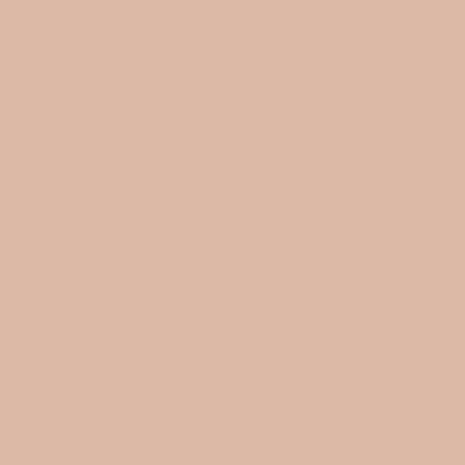 Bokmerk Muurverf Extramat - Pink Salmon