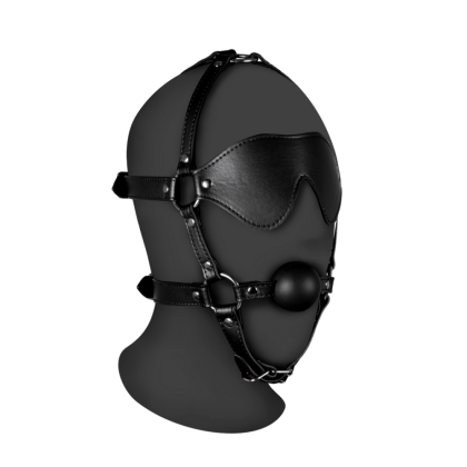 Ouch! by Shots Blindfolded Head Harness met Solid Ball Gag - Zwart