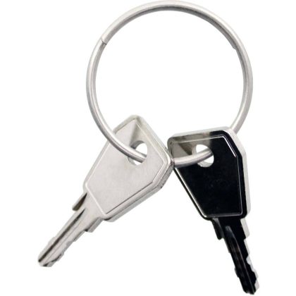 Thule Yepp Nexxt sleutel P1 2 stuks