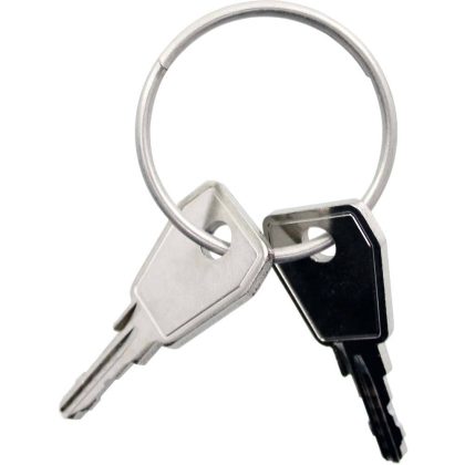 Thule Yepp Nexxt sleutel P8 2 stuks