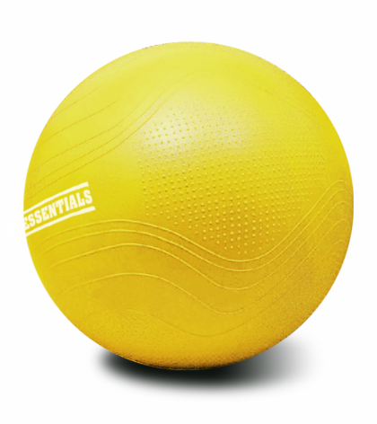 PT Essentials SALE - Gymball PRO V2 - Swiss Ball - 55, 65 of 75 cm
