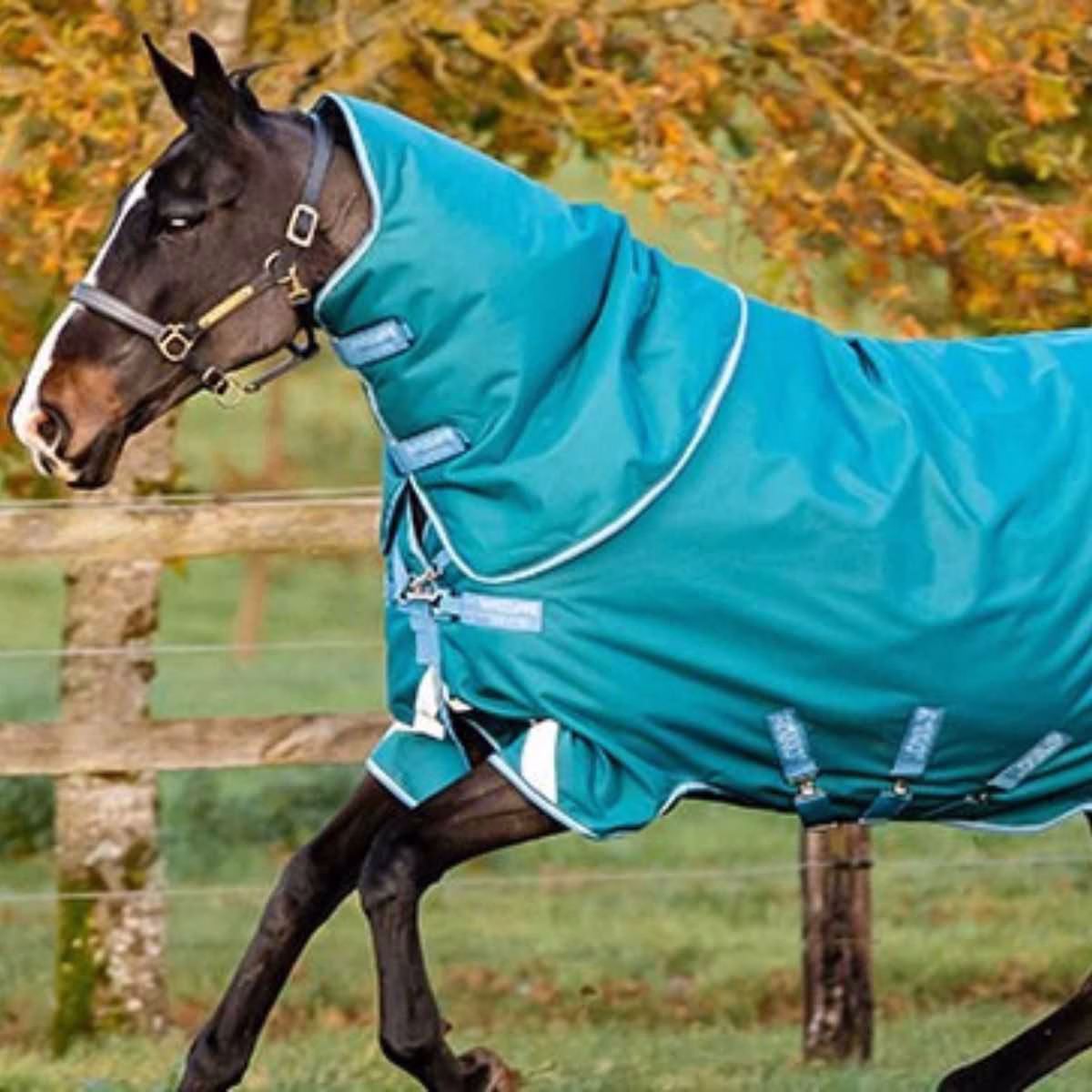 Amigo Heavy Bravo 12 plus groen maat:206