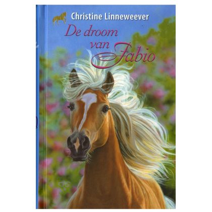 Uitgeverij Kluitman Gouden paarden: de droom van fabio