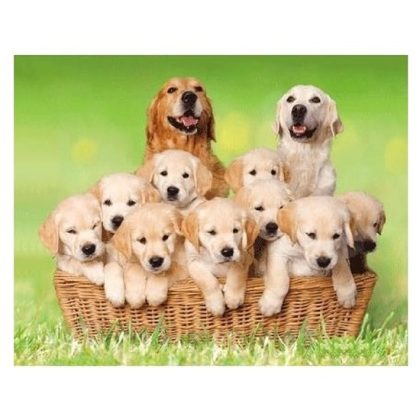 Merkloos 3D koelkast magneetje golden retrievers