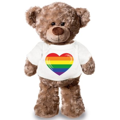Bellatio Decorations Knuffel teddybeer - gaypride - 24 cm - pluche - met shirt