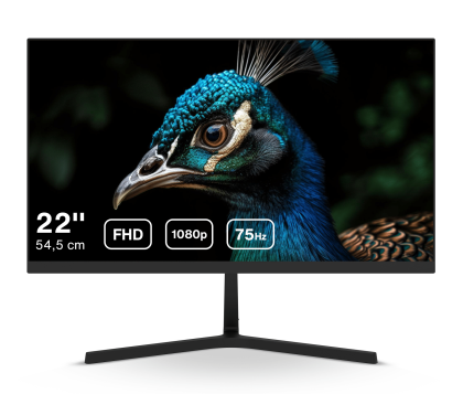 Dahua LM22-B201S - 22 inch Full HD Monitor- 75 Hz