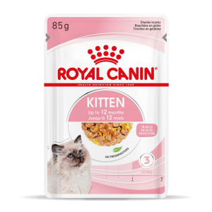 Royal Canin Kitten natvoer kat (in gelei) 2 dozen (24 x 85 g)
