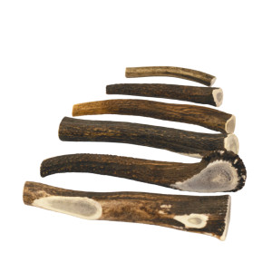Brekz Snacks - Antler voor de hond M