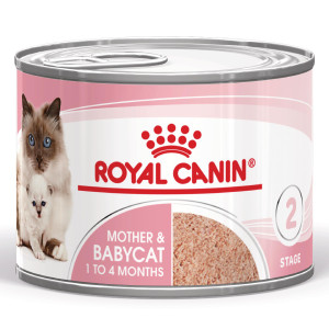 Royal Canin Mother & Babycat natvoer kat (mousse) 2 trays (24 x 195 g)