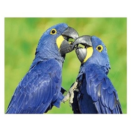Merkloos 3D koelkast magneetje blauwe papegaaien