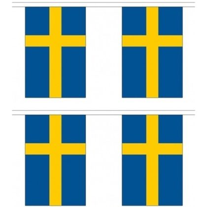 Merkloos 2x Luxe Zweedse vlaggenlijnen 3 meter