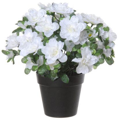 Louis Maes Azalea Kunstbloemen - in pot - wit - H28 cm