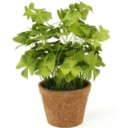 Bellatio flowers & plants Kunstplant klavertje groen in pot 25 cm