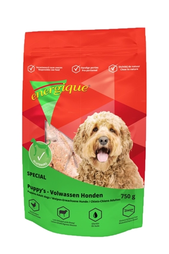 Van der Meer ENERGIQUE NR 4 SPECIAAL 750 GR