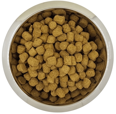 Van der Meer YOURDOG KONINGSPOEDEL SENIOR 12 KG