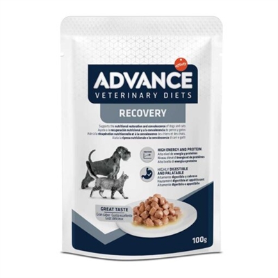 Van der Meer ADVANCE VETERINARY DIET DOG / CAT RECOVERY 11X100 GR