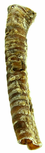 Van der Meer PETSNACK LUCHTPIJP 2,5 KG