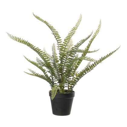 Louis Maes Varen Nephrolepis - Kunstplant - Groen - 50 cm