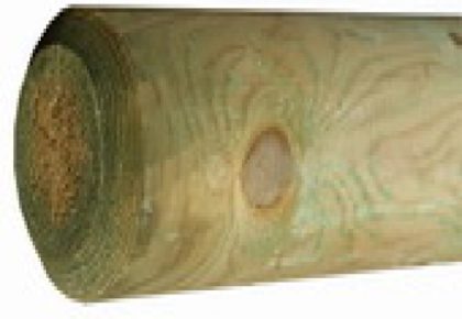 Intergard Rondhout palissade ø12x125cm