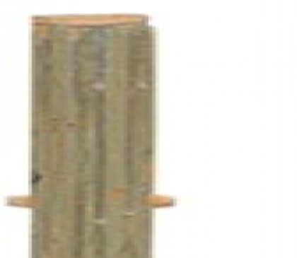 Intergard Bamboepaal tussenpaal bamboescherm tuinscherm ø8x200cm