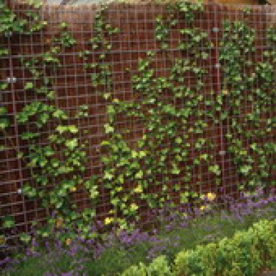 Intergard Betonmat volbad thermisch verzinkt 180x180cm 5/150mm