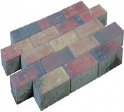 Intergard Trommelstenen of koppelstones dikformaat bont 20x6,6x7cm (m2)