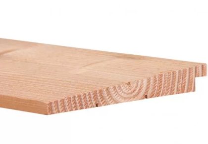 Intergard Douglas Zweeds rabat potdekselplanken 400cm (10/24x195mm)