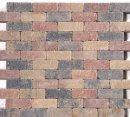 Intergard Waalformaat sierbestrating bont strak, 20x5x6cm, per m2