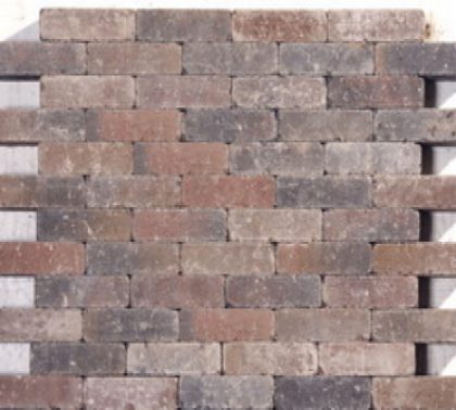 Intergard Waalformaat sierbestrating Oudbont strak, 20x5x6cm, per m2