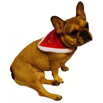 Sandy Kerst sjaal halsband rood voor hond of kat