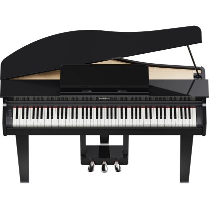 Roland GP-3 PE