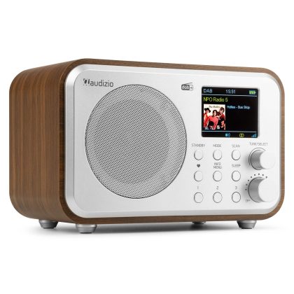 Audizio Retourdeal - Audizio Milan draagbare DAB radio met Bluetooth, FM radio