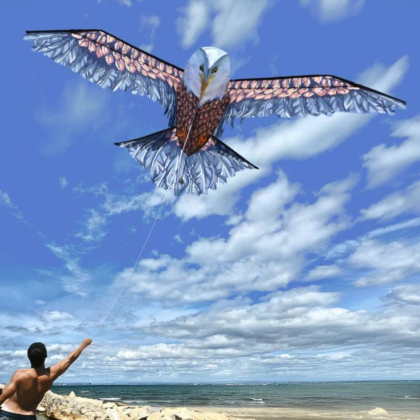 MikaMax 3D adelaar vlieger 186 cm | 3D Eagel Kite