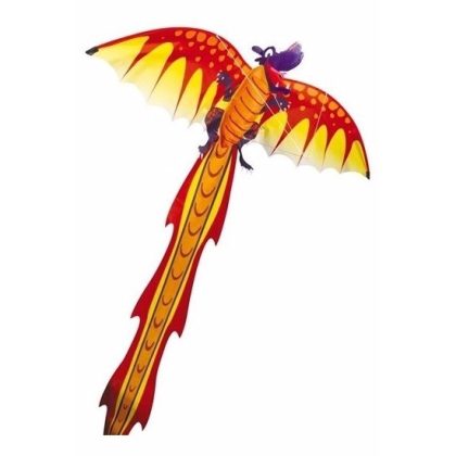 Gunther 3D draken vlieger gekleurd - Action products