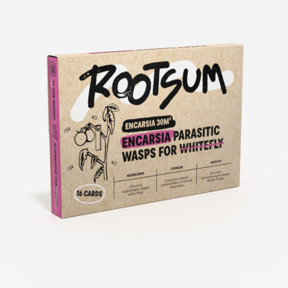 Rootsum ENCARSIA | Sluipwespen tegen witte vlieg - 5m²