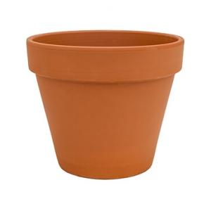 Plantenwinkel.nl Terracotta bloempot 11 cm